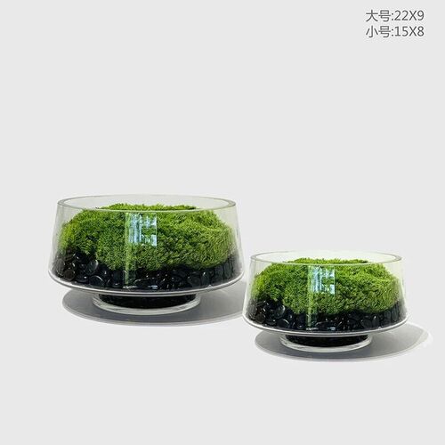 不需要养护永生苔藓WULIFLOWER