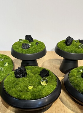永生苔藓盆景仿真植物微景观新中式酒店客厅桌面花艺盆栽装饰摆件