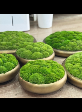 定制金属圆形永生苔藓花艺摆件