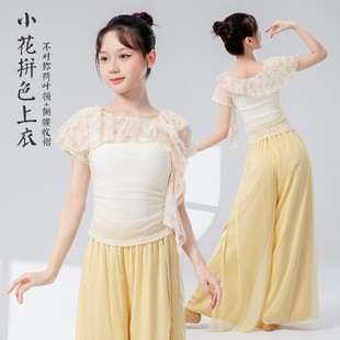 古典舞蹈服女现代拼色短袖 上衣 甜美夏季 纯欲风褶皱飘带练功服法式
