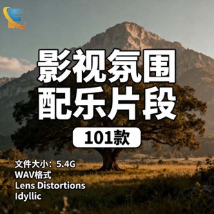 Idyllic 影视氛围配乐片段商用免版 Distortions Lens 音频素材 权
