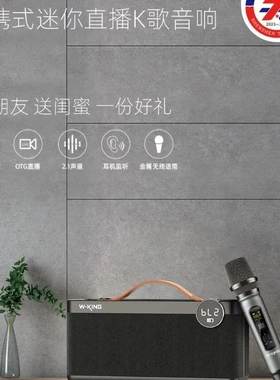 维尔晶H6手提便携式迷你K歌音响直播蓝牙音箱家庭KTV唱歌插卡音箱