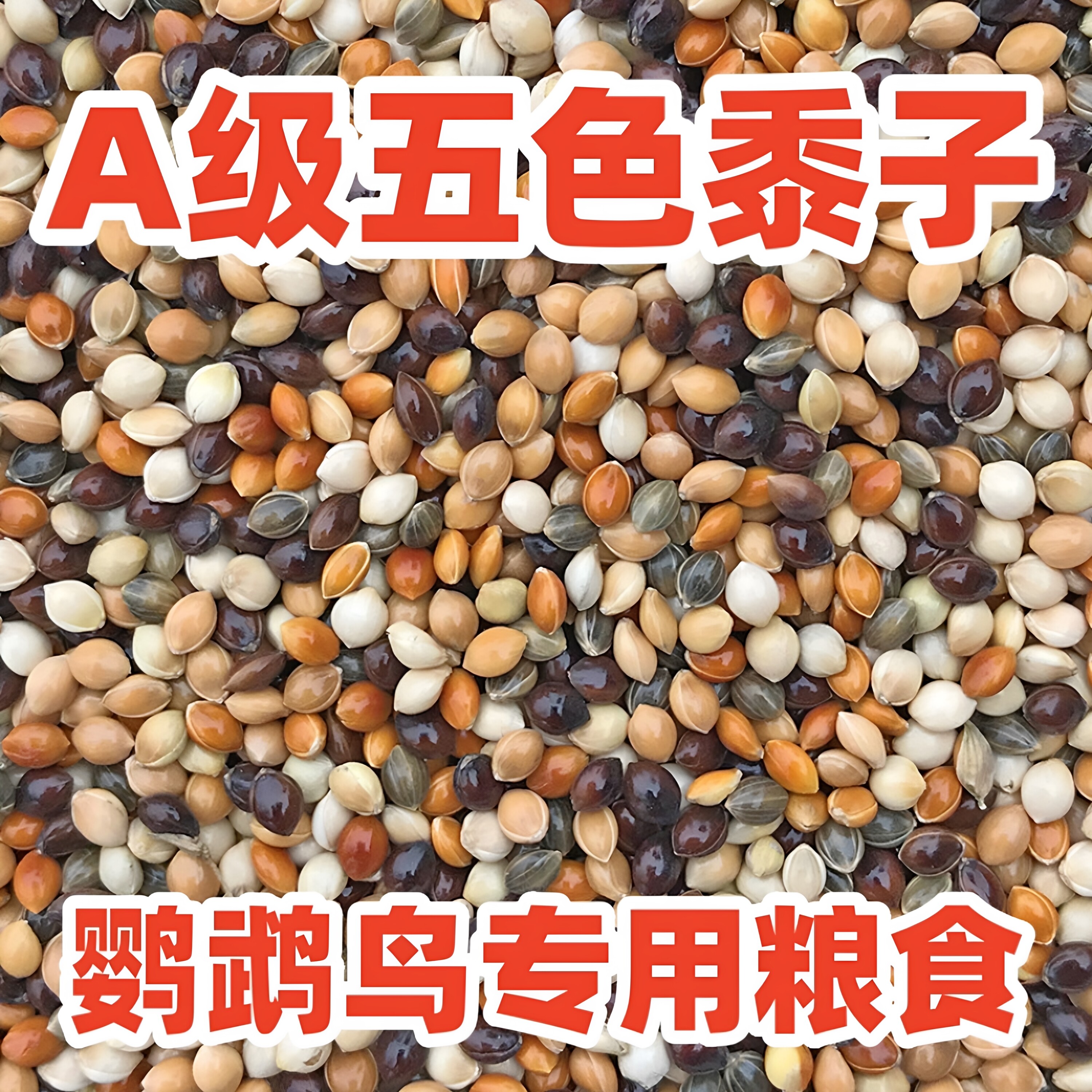 五色黍子带壳鹦鹉专用鸟粮