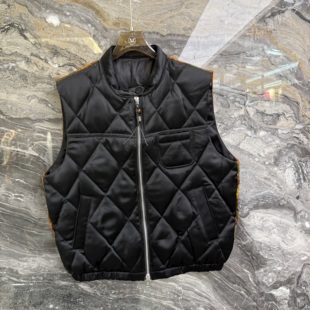 羽绒马甲2016 宽松百搭90白鸭绒无袖 欧洲站2025秋冬新款 立领拉链款