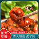 商用卤味2.5斤 四川火锅食材 不苦型 爆汁Q弹 火锅店用熟冒节子
