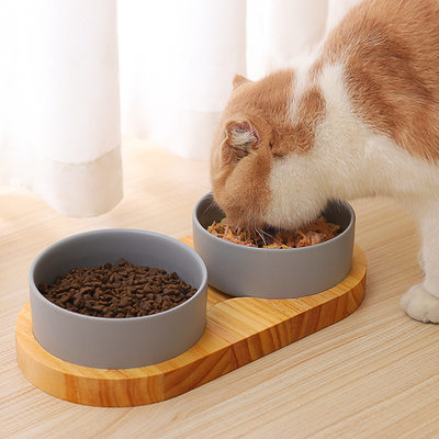 实木陶瓷猫碗防打翻猫狗通用食具