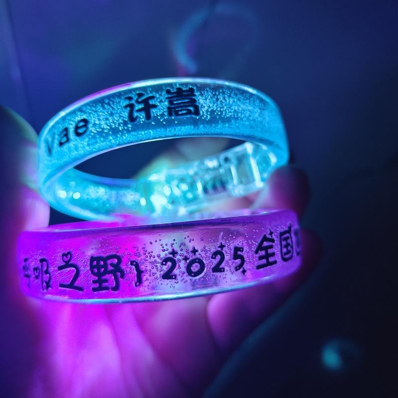 vae许嵩应援手环呼吸之野演唱会