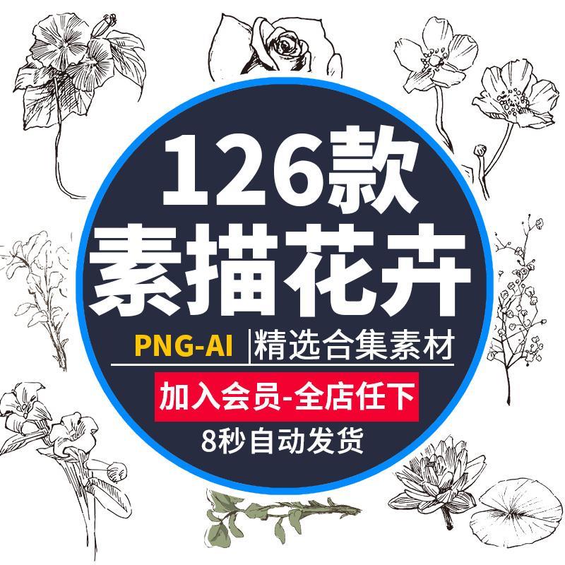 黑白手绘花朵花草素描花卉植物速写手稿PNG插画AI矢量图案PS素材1