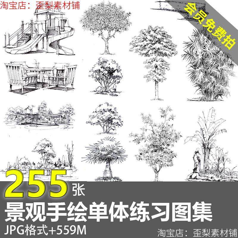 园林景观单体植物手绘速写树木花草小景钢笔画马克笔临摹图片素材