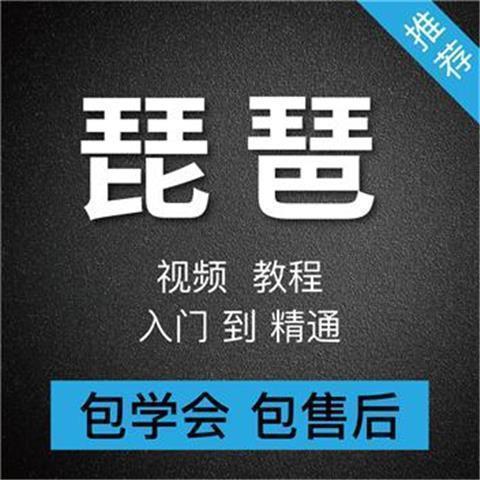 琵琶教学视频教程零基础初学入门自学琵琶入门到精通琵琶在线课程