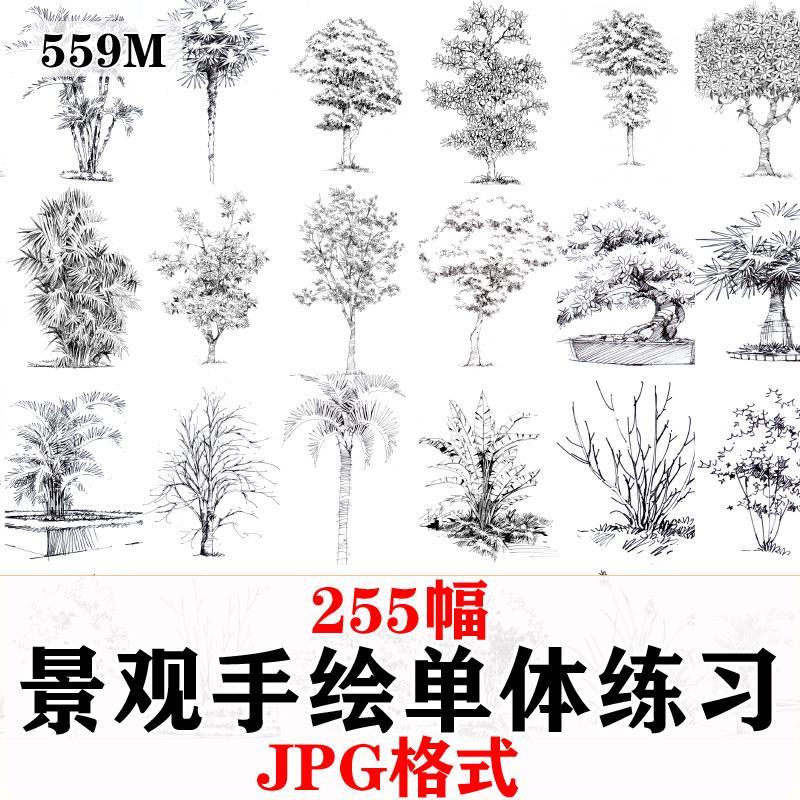 园林景观单体植物手绘速写树木花草小景钢笔画马克笔临摹图片素材