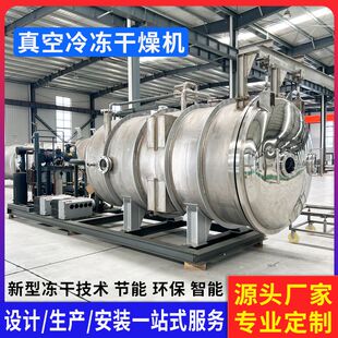 中药萃取液冻干机商用 土壤冬虫夏草低温冷冻干机 真空冷冻干燥机