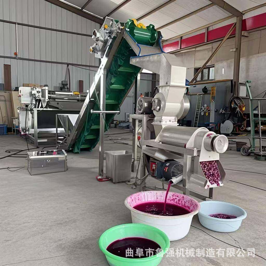 供应火龙果榨汁机螺旋不锈钢材质榨汁机果蔬粉碎榨汁设备厂家水果