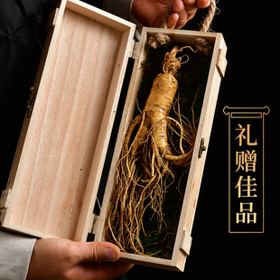 长白山鲜人参大人参东北新鲜带土人参单支半斤大人参顺丰航空发货