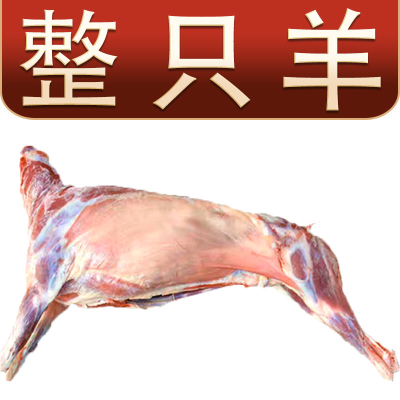 30斤藏系绵羊肉整只羊新鲜现宰原切正宗青海祁连山溜达羊顺丰包邮
