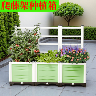 爬藤花架箱种植箱爬藤类专用花盆阳台户外果蔬爬藤支架园艺花架箱