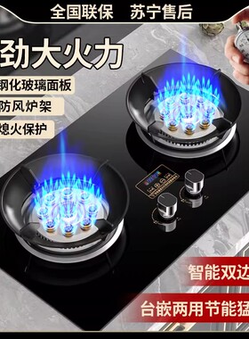 日本攖花燃气灶双灶家用天然气灶台式嵌入式液化气节能煤气灶猛火