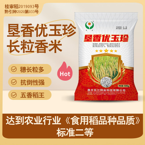 五香稻王水稻种子垦香优玉珍