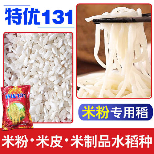 穗子大、结实率高、产量好