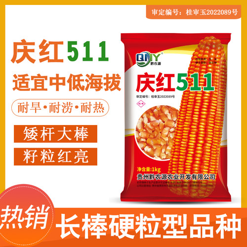 庆红511全硬粒型玉米种子2斤装