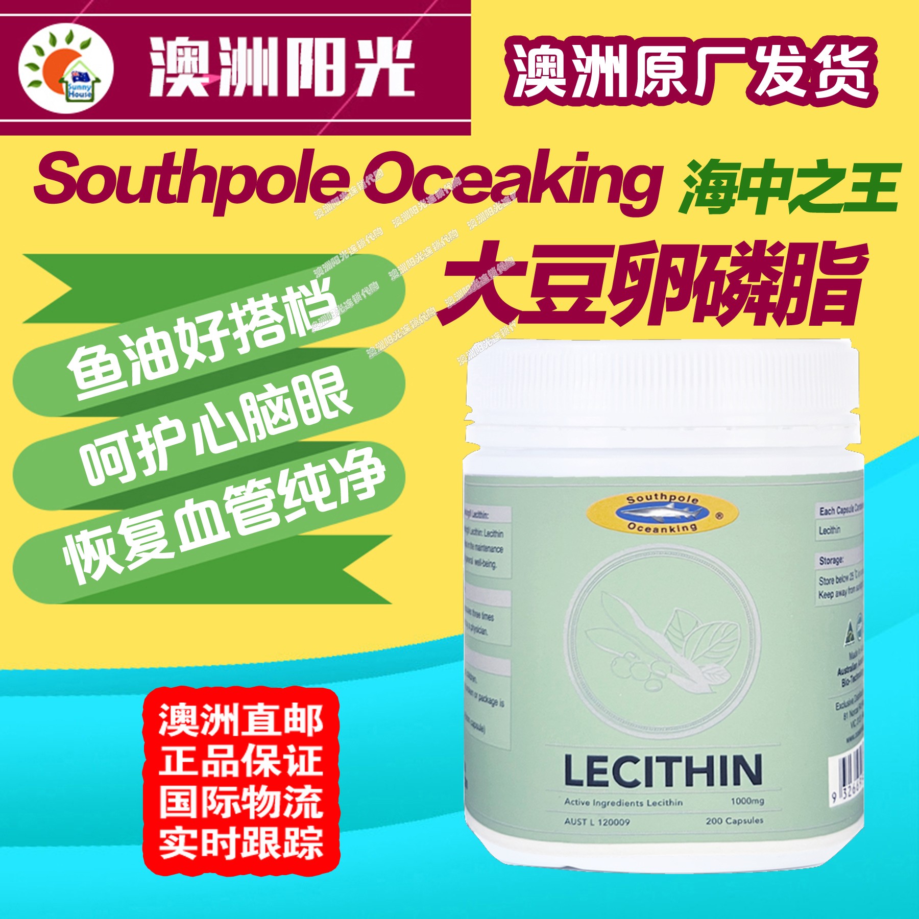 海中之王卵磷脂澳洲原厂直邮血管