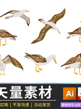 矢量海鸥鸟类设计素材AI矢量文件卡通小鸟插画装饰印花图PDF课件