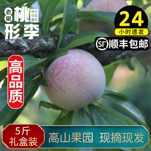桃形李红心嵊州脆甜爽口时令鲜果