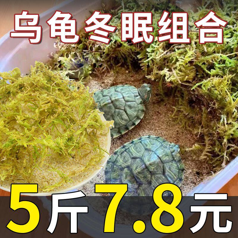 乌龟冬眠专用土天然细河沙椰土苔藓冬眠用品全套过冬防寒保暖底砂