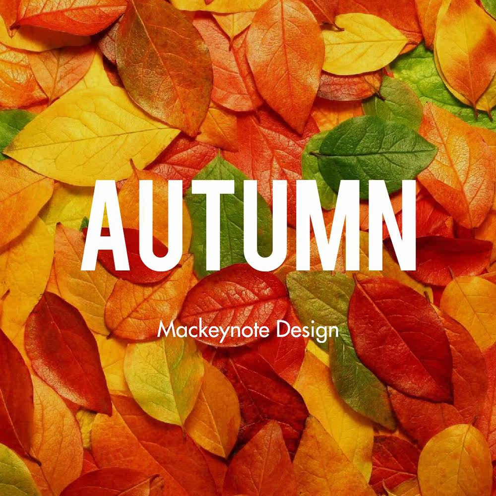 Aesthetic Autumn originality Aesthetic design activity Marketing Planning keynote Template pic775in the Business affairs/Design Services, Design Services, Design Material/Source Files category - from Buy2taobao.com to provide professional Taobao agent buy service