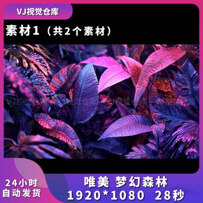 唯美梦幻森林热带植物