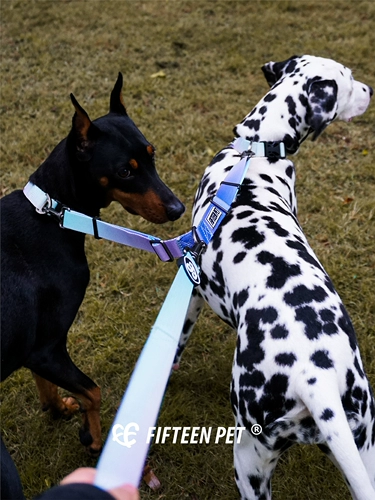 [FIFTEEN PET 狗狗双头狗绳牵引绳一拖二遛狗绳宠物可伸缩多头狗绳]