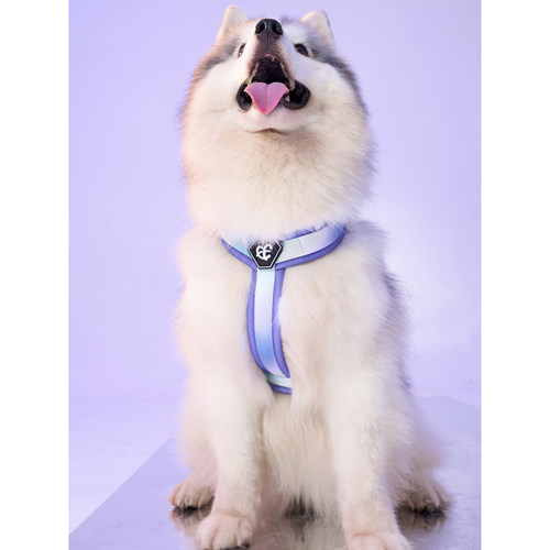 FIFTEENPET狗狗胸背四季时尚款