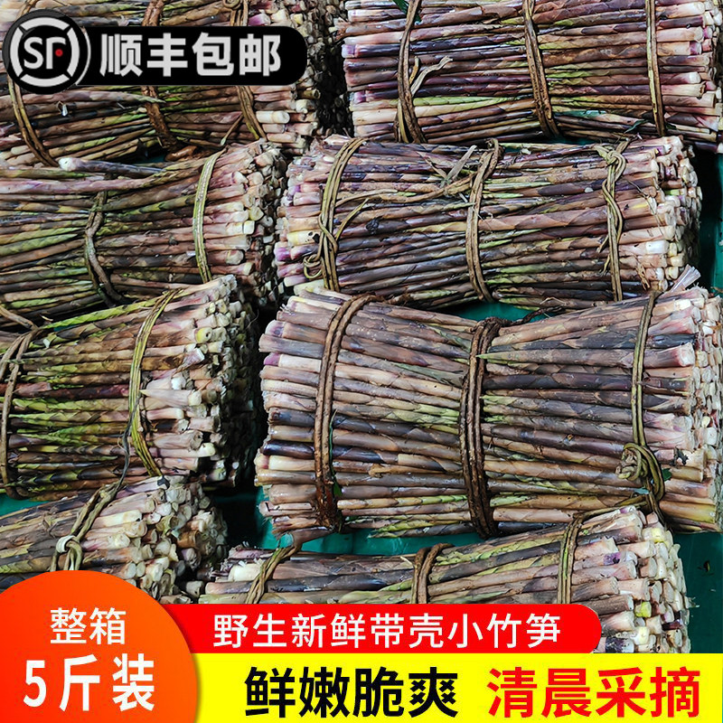 雷公山八月笋野生带壳贵州石竹笋刺竹笋甜竹笋新鲜现摘现发五斤