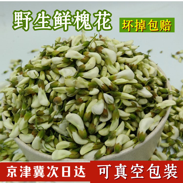 现摘野生洋槐花当天现摘新鲜洋槐花山槐花杨槐花山野菜应季野菜