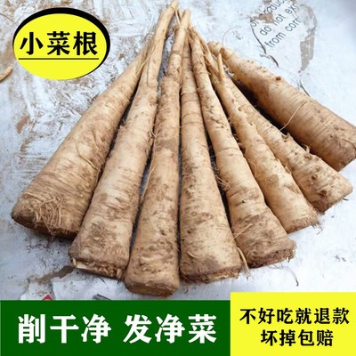 小菜根蔓菁油蛮茎猪尾巴人参蔓荆