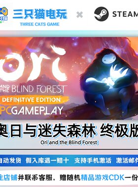 Steam奥日与迷失森林CDK