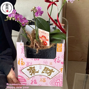 简约双把手花盒新年冬青红果盆栽蝴蝶兰绿植盆栽手提包装发财纸盒