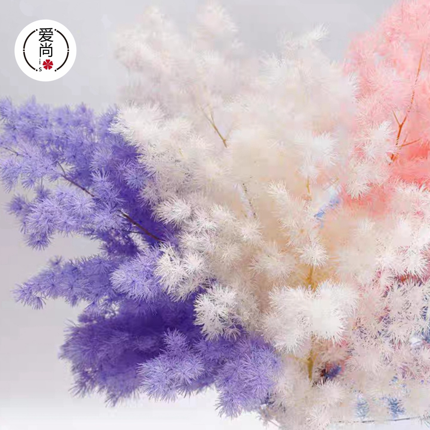 永生花蓬莱松紫罗兰千日红干花