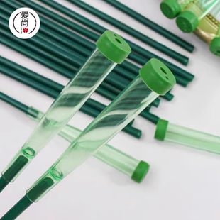 洋兰管鲜花蝴蝶兰储水管花艺吸水保鲜保水管营养管培养管花束保鲜