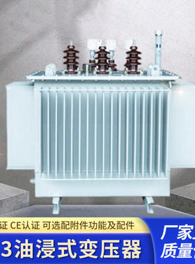 S13-10kv油浸式变压器大功率高过载超容量诚世光电大功率变压器