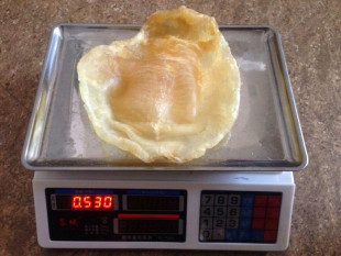 及品胶怀孕坐月子补甚好 花胶 东山岛野生赤嘴鳘鱼胶 大鱼胶