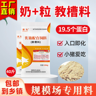 乳猪教槽料奶+粒高小猪开口料奶粉蒸汽鱼粉吸收好肠道健康吸收好