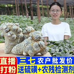 无剪口正品云南文山三七头仿特野生级37中药材田三七粉官方旗舰店