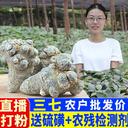 无剪口正品云南文山三七直播打粉