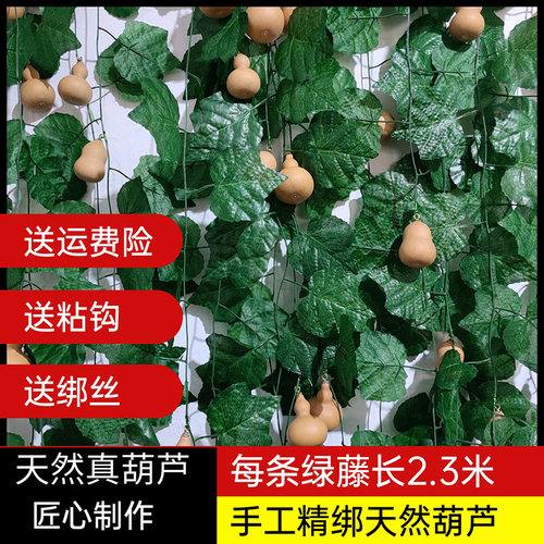 天然真葫芦串藤条装饰仿真绿叶蔓商铺茶室间空调管道缠绕遮挡绿植