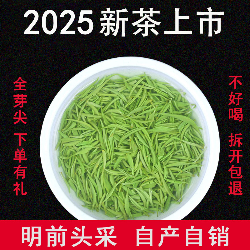 2025新茶信阳毛尖茶叶高山250g