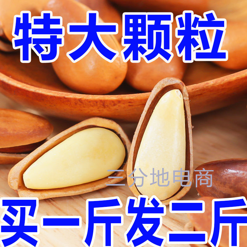 红松松子仁东北松子500g零食坚果干果当季特大手剥开口红松仁