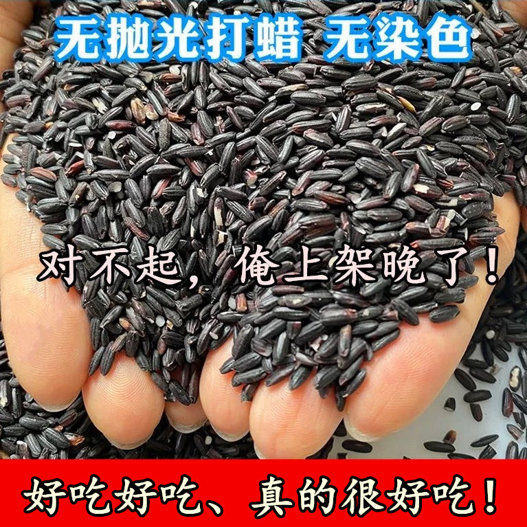 (您可以放心吃的粗粮)农家自种黑米无染色25年新米黑米五谷杂粮