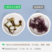 新货头水紫菜干 干货无沙免洗紫菜蛋花汤深海水产非即食冲泡海鲜