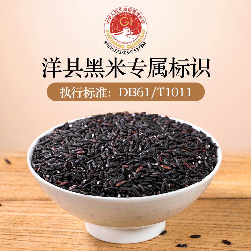 新货有机洋县黑米2024年新米陕西健康血糯米孕妇优质杂粮粥米5斤